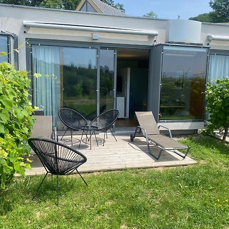 *Brandnew* Modernes Apartment In Den Weinbergen Mit Pool Und Sauna Spielfeld Eksteriør bilde